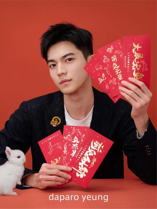 daparo雪兔女男胸针可爱兔子生日礼物女生精致小众本命年徽章 商品图4