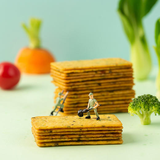 【宅猫日记】九蔬脆片饼干内含9种蔬菜营养宝藏118g*5 商品图4