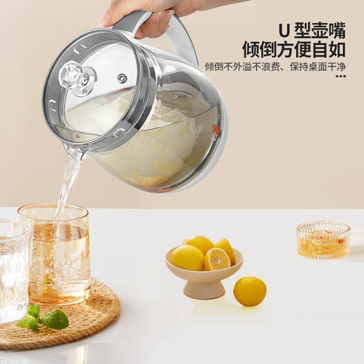 拉尔弗养生壶CD-C518 商品图1