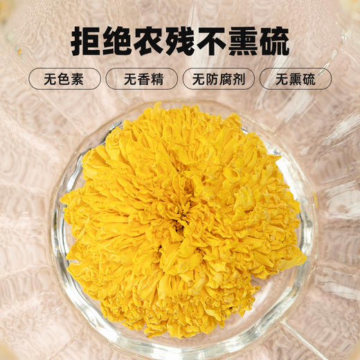 宜样新滋补  婺源皇菊养生茶整朵菊花冲泡花茶30g/罐 商品图3