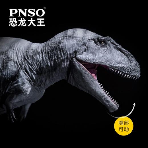 PNSO米拉西斯龙芒戈恐龙大王成长陪伴模型69 商品图3