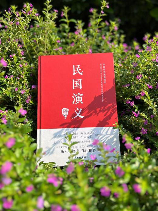 【读二十四史，不如读蔡东藩】《蔡东藩中国历代通俗演义》（全11册） 商品图2