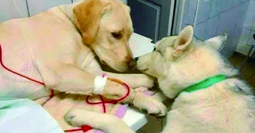 我会陪着你 商品图0