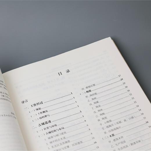 《楼兰考古调查与发掘报告》 商品图3