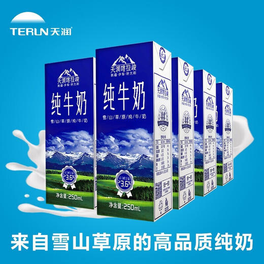 喀拉峻雪山草原纯牛奶 250ml*12盒（现金价） 商品图4