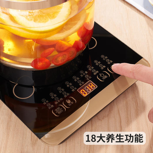 拉尔弗养生壶CD-C180 商品图1