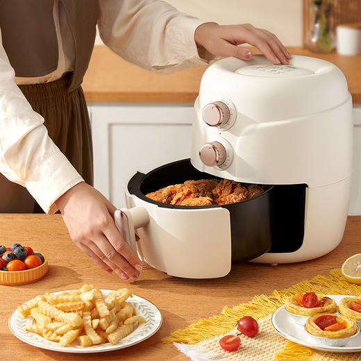 拉尔弗空气炸锅KJ-06C 商品图2