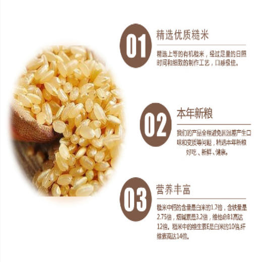 有机糙米 420g*3袋 商品图2