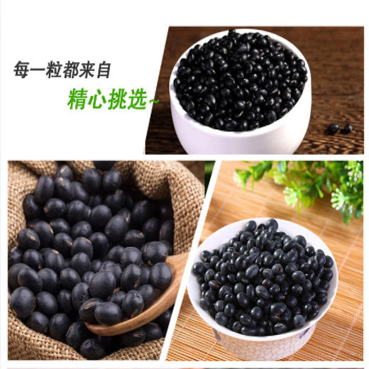 有机黑豆 350g*3袋 商品图4