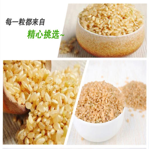 有机糙米 420g*3袋 商品图3