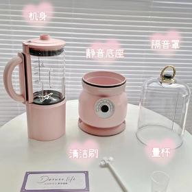 (包邮)大宇破壁机FP02（两种颜色）