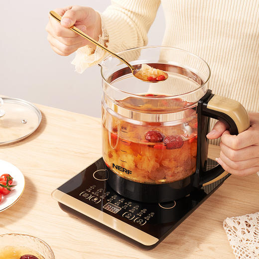 拉尔弗养生壶CD-C180 商品图2