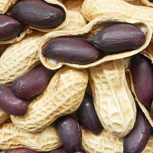 有机黑花生 320g*2袋 商品图2