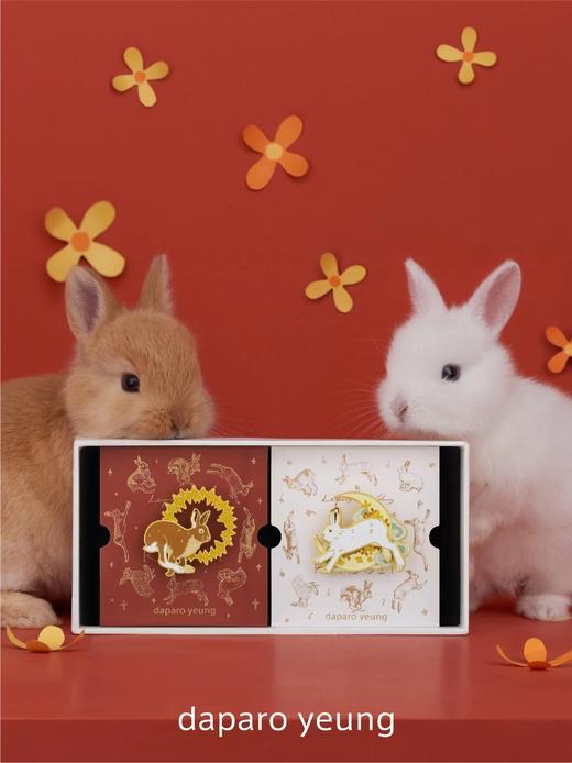 daparo雪兔女男胸针可爱兔子生日礼物女生精致小众本命年徽章 商品图0