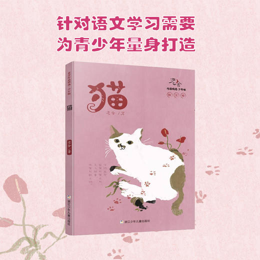 《老舍+梁晓声+林清玄+毕淑敏作品精选合集·少年版（15册）》 商品图1