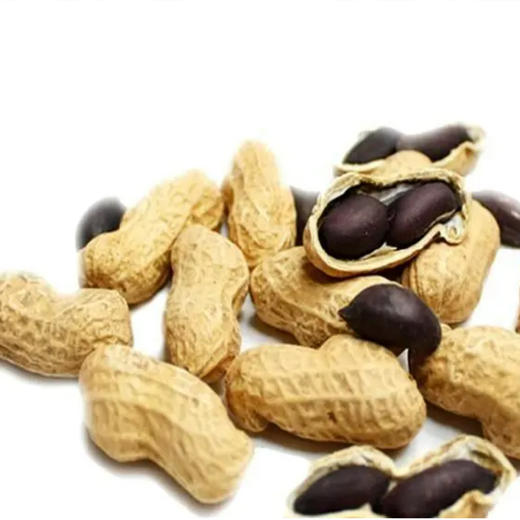 有机黑花生 320g*2袋 商品图1