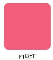 壁虎瑜伽【2302WZ225】防滑露背五指瑜伽袜【5天发货】 商品图8