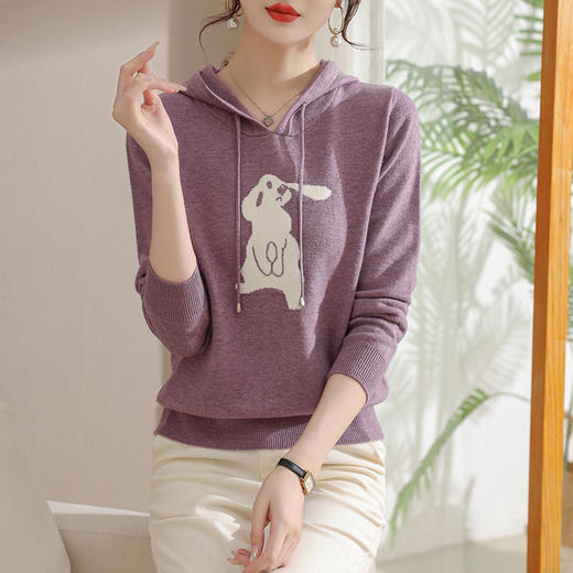 连帽卫衣时尚洋气外套宽松休闲上衣CC-2839 商品图3