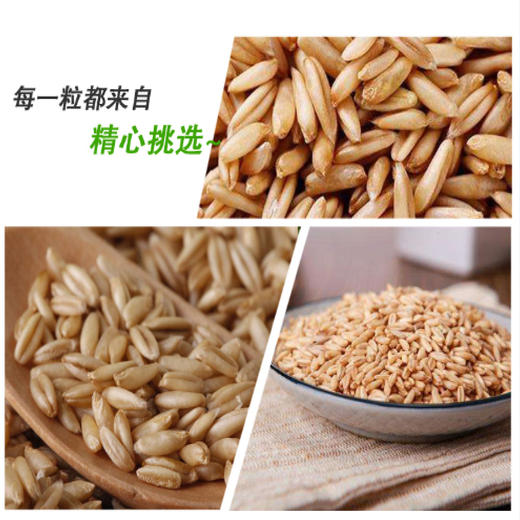 有机燕麦米 370g*3袋 商品图4
