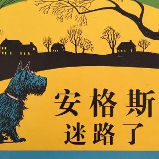 安格斯迷路了 商品图0