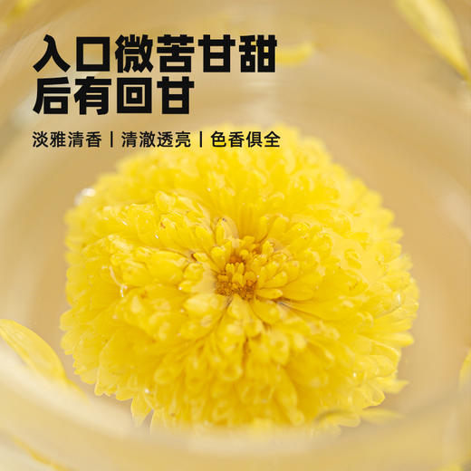 宜样新滋补  婺源皇菊养生茶整朵菊花冲泡花茶30g/罐 商品图2
