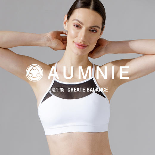 【AUMNIE】热忱网纱Y形胸围 ARDOR MESH Y BRA 商品图0