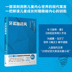 牙买加飓风（20世纪现代经典文库）