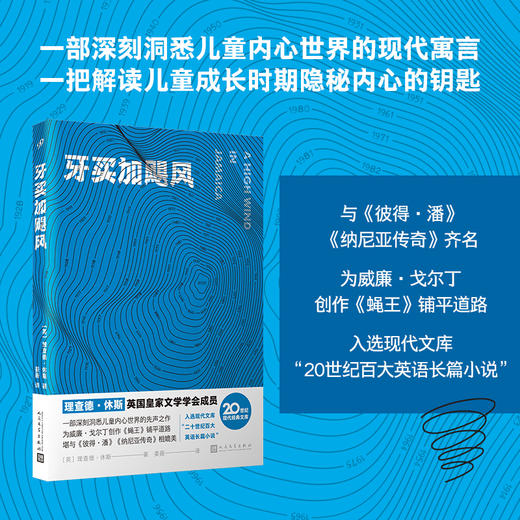 牙买加飓风（20世纪现代经典文库） 商品图0