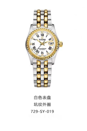 梅花宇宙系列全自动机械女表