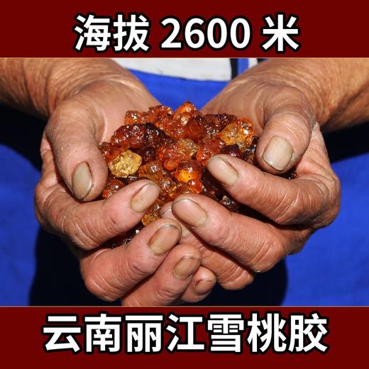 【丽江桃胶】可搭配 皂角米 银耳 雪莲子 150克/份 商品图0