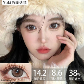 Laseecon半年抛·镜中灰（灰棕）·14.2mm中等着色·韩产2片