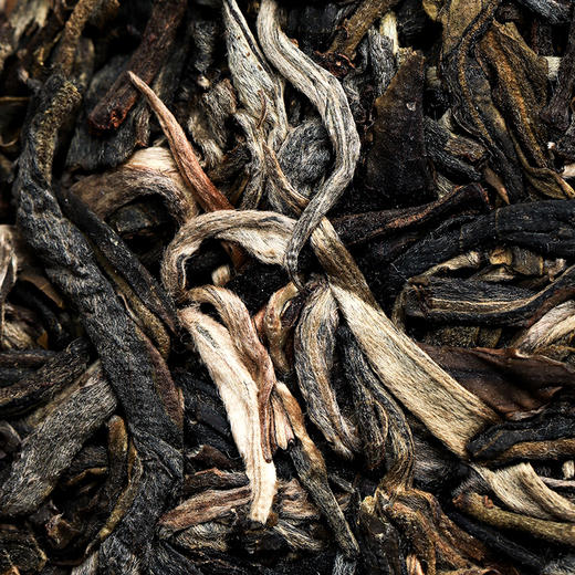 【古票—凤票】【单饼装】横跨五年冰岛老寨完美融合，仅内部茶友专享 商品图3