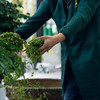 自然造物西湖龙井高端茶叶礼盒桐木盒绿茶春茶送礼明前特级 商品缩略图5