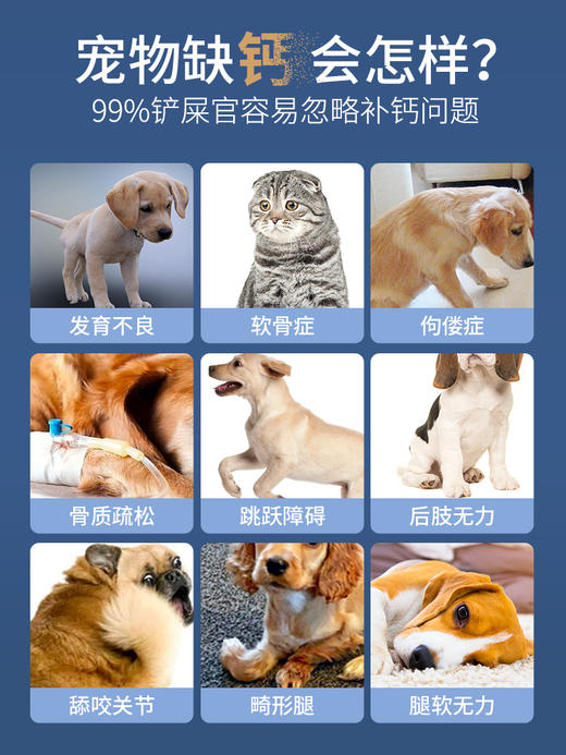 mag螯合液体钙乳钙 宠物专用补钙健骨易吸收 商品图1