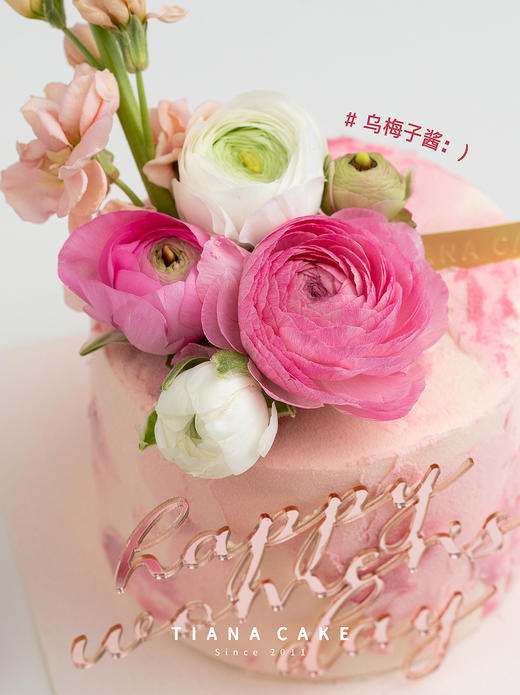 乌梅子酱 商品图3