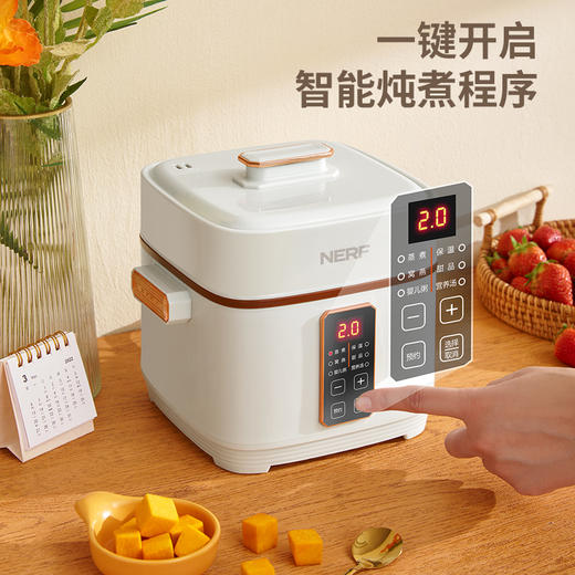 拉尔弗电炖盅BE-D820 商品图3