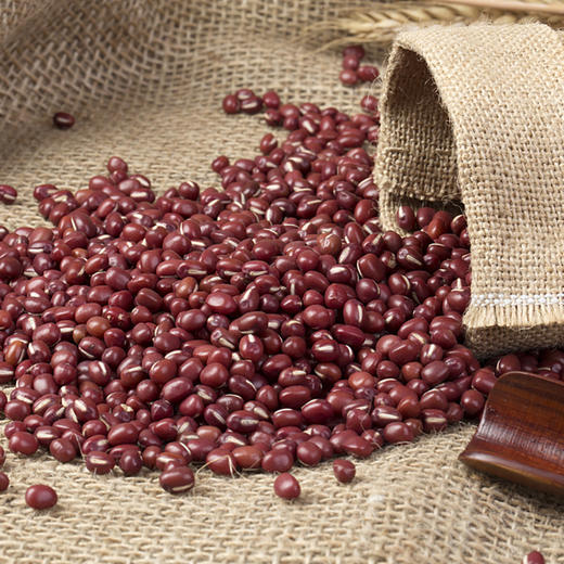 有机红豆 400g*3袋 商品图1