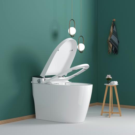 日本川崎智能马桶包邮包安装