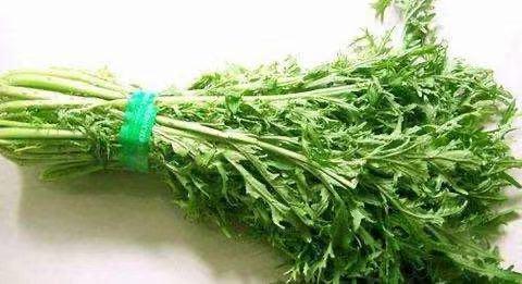 苦菊菜1斤（约两朵） 商品图0