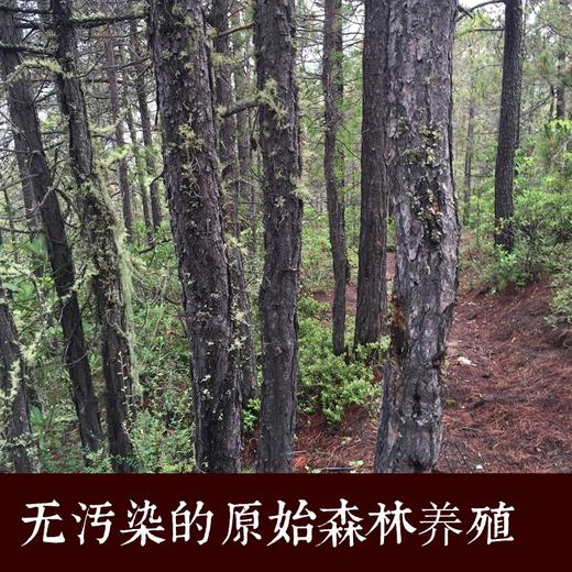 【雪银耳】干货150g 商品图4