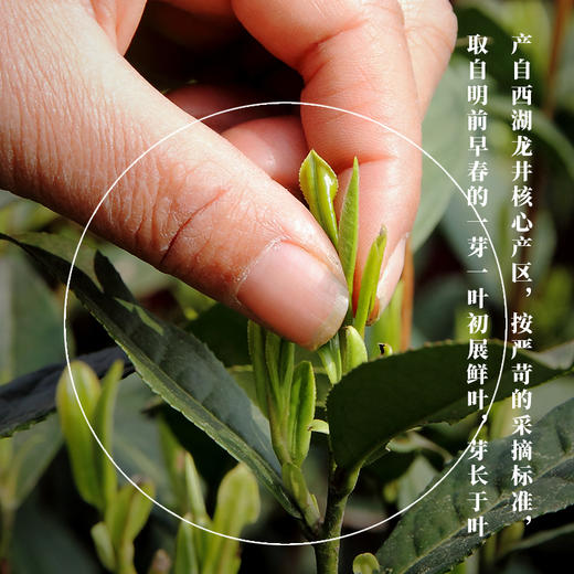 2026新茶·龙冠龙井【玉莲心·心】礼盒 100g 商品图1