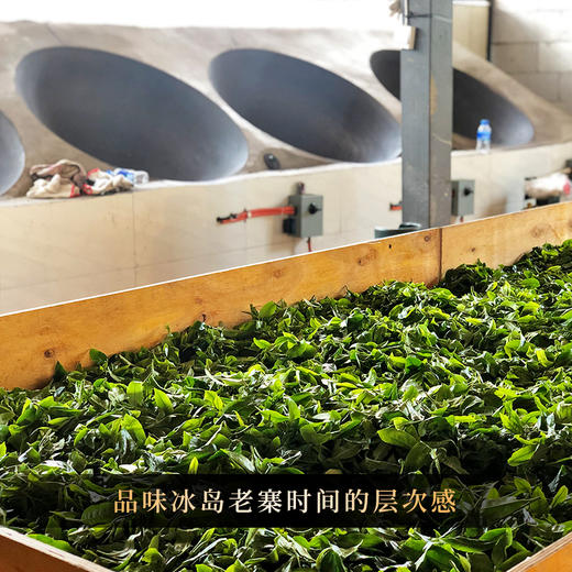 【古票—凤票】【单饼装】横跨五年冰岛老寨完美融合，仅内部茶友专享 商品图5