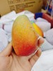 小金龙芒果3斤（拼团） 商品缩略图0