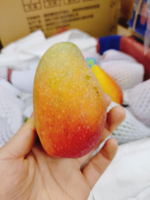 小金龙芒果3斤（拼团） 商品图0