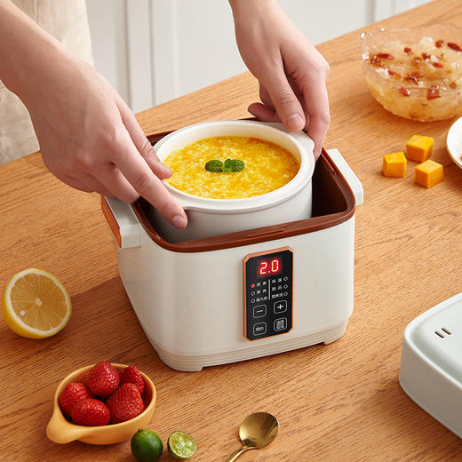 拉尔弗电炖盅BE-D820 商品图2