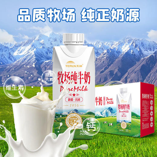 新疆兵团牧场纯牛奶梦幻盖 250mL*10盒（现金价） 商品图2