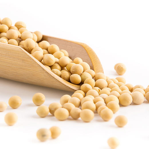 有机黄豆 350g*3袋 商品图1