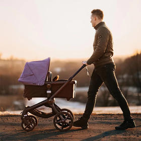 Bugaboo Fox5安装视频