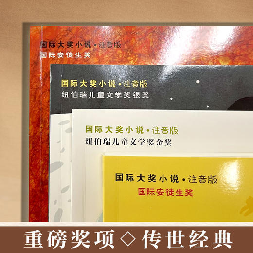 【5-10岁推荐】国际大奖小说·注音版（20册）礼盒装 &第3辑10册 一座世界儿童文学宝库 助力孩子独立阅读 商品图4