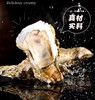 新鲜生蚝 商品缩略图1